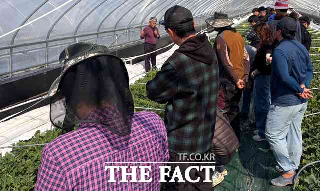 성주군이 지역 대표 특산물인 참외 산업의 경쟁력 강화를 위해 현장 중심의 전문 농업인 양성에 속도를 내고 있다. /성주군