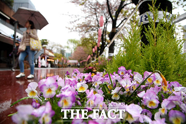 봄비가 이틀째 이어진 10일 오전 서울 송파구 석촌호수공원을 찾은 시민들이 우산을 쓰고 둘레길을 산책하고 있다. /박상민 기자