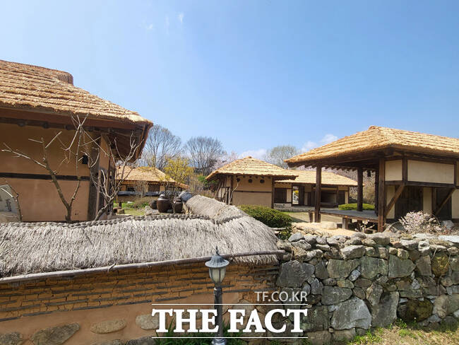 인조 자재로 대체된 지붕(뒤)과 담벼락(앞)에 설치된 전통짚이 대조된다. /김성권 기자