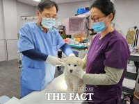  용인시, 인수공통감염병 바이러스 감염 차단 위해 반려견 대상 광견병 예방 접종