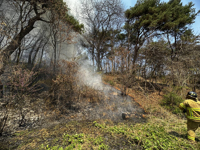 13일 낮 12시 37분쯤 경북 영주시 조암동 한 아파트 뒤편 밭에서 불이 나 약 1시간 만에 진화됐다. /경북소방본부