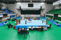  국가대표 정하늘 출격…영주서 전국종별복싱선수권대회 14일 개막