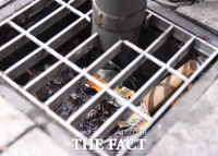  다가올 여름 집중호우의 악몽…빗물받이로 '유비무환'