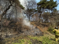  경북 영주 아파트 뒤편 밭 화재…1시간 만에 진화, 600㎡ 소실