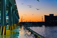  동해안 관광, 머무는 시대 열렸다…울진군, '체류형 관광 메카' 선언