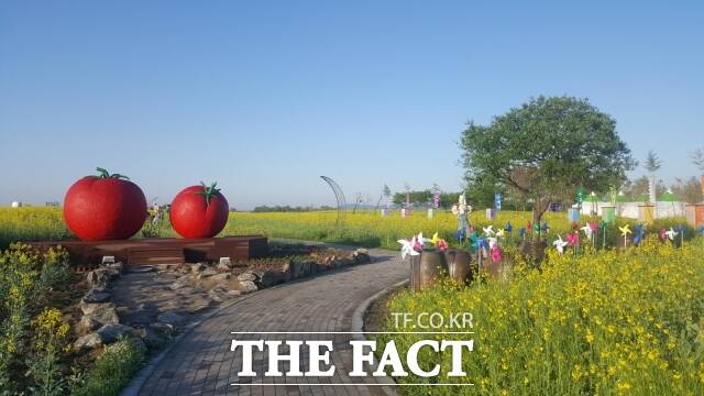 '2026 부여세도 방울토마토 & 유채꽃 축제' 전경. /부여군