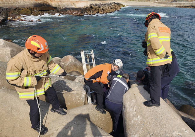 동해해경과 소방이 합동으로 테트라포드 추락자를 구조하고 있다. /동해해양경찰서