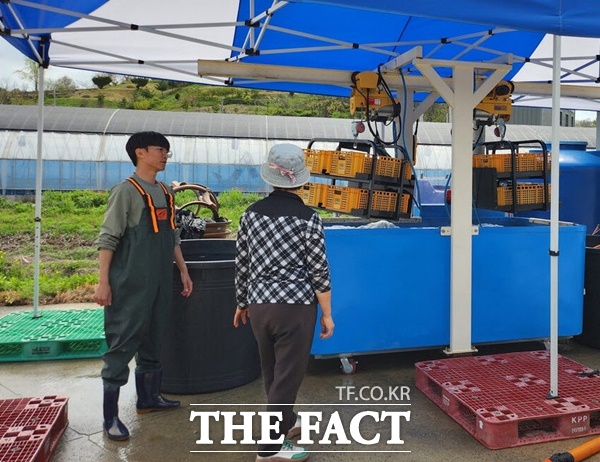 청양군 농업기술센터가 운영중인 종자 온탕소독 및 최아은행 모습. /청양군