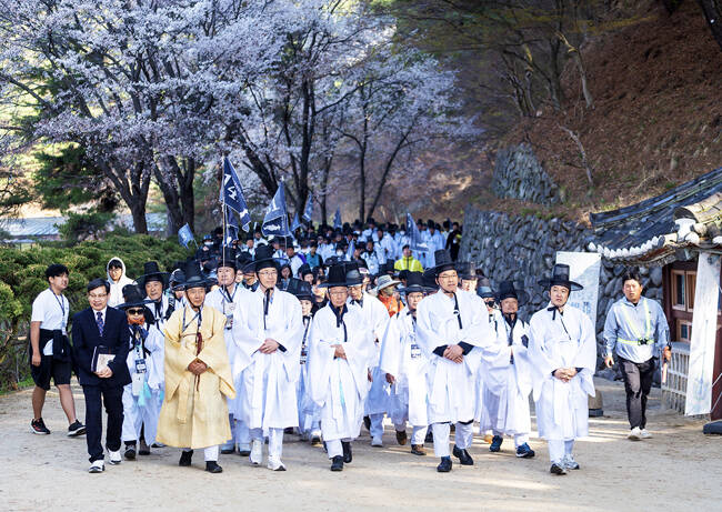 '퇴계 선생 마지막 귀향길 재현행사' 참가자들이 마지막 구간인 안동 삽골재에서 도산서원까지 걸어오고 있다. /안동시