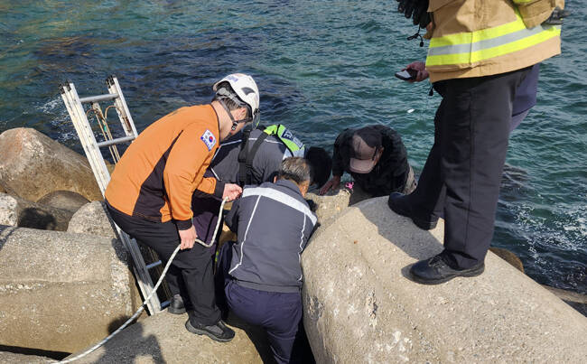 동해해경과 소방이 합동으로 테트라포드 추락자를 구조하고 있다. /동해해양경찰서