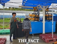  청양군, 벼 농사 '종자 관리'부터 잡는다…'최아은행' 본격 운영