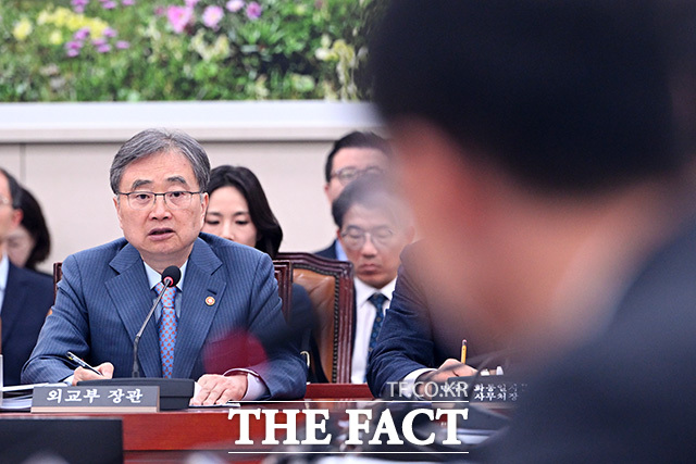 의원 질의에 답하는 조현 외교부 장관.