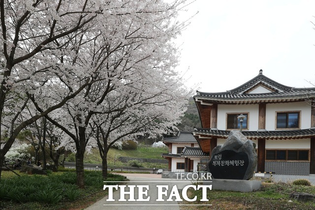 보령 무궁화수목원에 봄꽃이 만개해 있다. /보령시