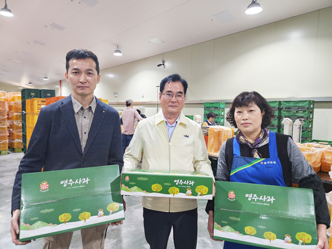 풍기농협 이인찬 조합장(가운데)과 채현태 지점장(좌측)이 풍기농협 고향사랑기부금 답례품 사과박스를 들고 있다. /경북농협