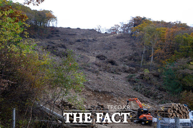 정선 가리왕산 스키장건설 벌목 현장 /강재훈