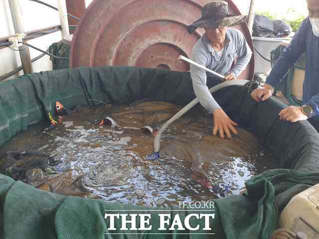 당진시 벼 종자 소독 장면. /당진시