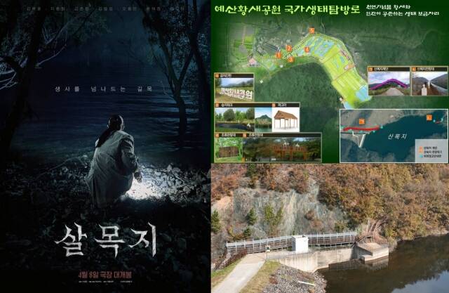 영화 '살목지'의 배경인 충남 예산군의 저수지 살목지에는 늦은 시간에도 많은 사람이 몰리고 있다. /쇼박스·예산군
