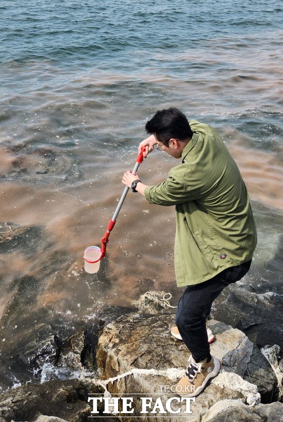 야광충 시료 채취. /경기도