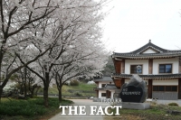  보령무궁화수목원, 봄철 꽃터널 절정…나들이객 발길