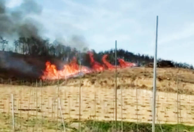 16일 오후 2시 25분쯤 안동시 길안면 백자리 일대 야산에서 산불이 발생해 소방당국이 진화에 나섰다. /경북소방본부