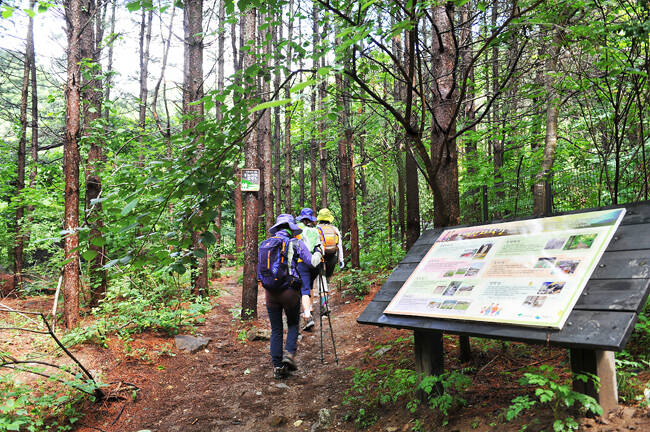 죽령옛길을 걷고 있는 사람들 모습 /영주시