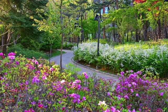 서울시는 완연한 봄을 맞아 정원박람회 존치정원과 시 직영공원들의 봄맞이 정비를 완료하고, '서울국제정원박람회' 개막 전에도 정원들의 향연으로 가득한 '정원도시 서울'을 선보인다고 밝혔다. /서울시