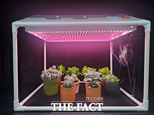 가정용 다육식물 생육상. /경기도농업기술원