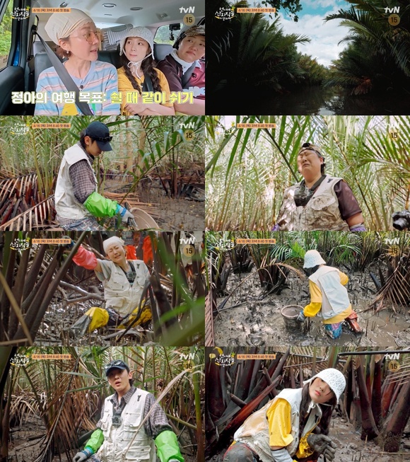 tvN 새 예능프로그램 '언니네 산지직송 in 칼라페'에서는 방송인 덱스, 배우 염정아 김혜윤 반준면의 야생 생존기가 펼쳐진다. /tvN