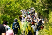  봄바람 따라 걷는 숲길 여행…영주, '동서트레일'로 상춘객 유치 나선다