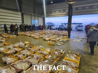  사라지는 흑산 홍어…남획·수온 상승에 '명성 흔들'