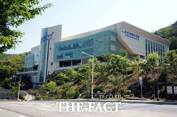 용운국제수영장 전경. /대전시설관리공단