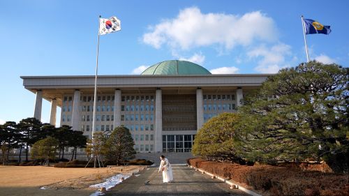 소금치기 2025.02.09 사진 @가림토 /박다인 작가