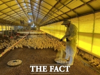  경기동물위생시험소, 유용미생물 사용 농가 97%서 '효과' 확인