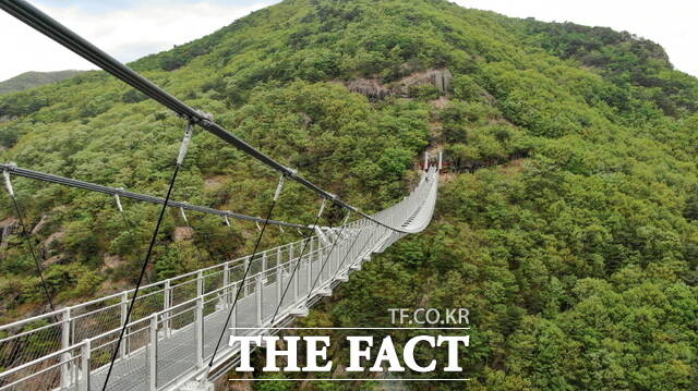 출렁다리. 기사 내용과 직접적 관련 없음. /더팩트 DB