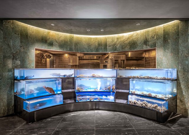 한화호텔앤드리조트의 외식 사업을 전개하는 자회사 한화푸드테크는 21일 서울 종로구 KT광화문빌딩 웨스트(WEST) 15층에서 오는 24일 '더 플라자 다이닝(THE PLAZA DINING)'을 연다. 이곳은 경복궁·청와대·북악산 등 서울의 역사적 명소들을 한눈에 조망할 수 있다. /한화호텔앤드리조트 한화푸드테크