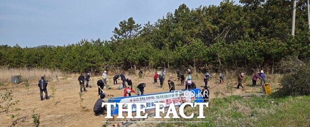 보령시 오천면 삽시도리 일원에서 열린 동백나무 식재 행사에서 한국중부발전, 산림조합, 지역 주민 등 관계자들이 나무를 심고 있다. /보령시