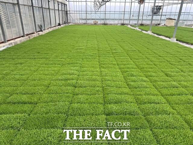 당진시는 올해 볍씨 발아가 예년보다 늦어지는 사례가 확인돼 육묘관리 농가에 각별한 주의를 당부했다. /당진시