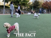  구리시, 지역 내 반려동물 놀이터 4개소 환경정비 실시