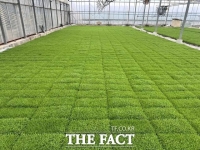  당진시, 벼 파종기 육묘관리 주의보