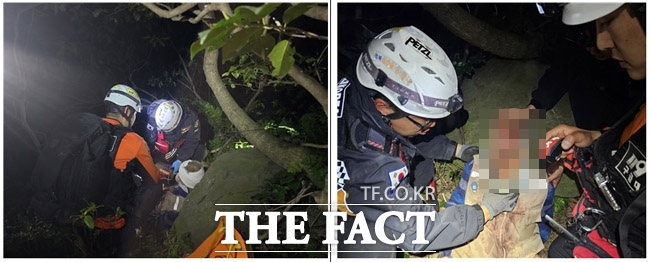 21일 오후 4시 25분쯤 울릉군 울릉읍 저동리 내수전에서 나물 채취에 나섰던 80대 주민이 실종돼 7시간 만인 오후 11시 29분에 실종자인 조 모(83) 씨가 발견해 육지병원으로 후송됐다. /포항남부소방서 울릉119안전센터