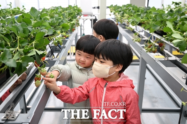 마포 스마트팜 체험관 준공식이 지난 2일 오후 서울 마포구 망원1-2공영주차장 지상부에서 열린 가운데 어린이들이 스마트 온실을 둘러보고 있다. /서예원 기자