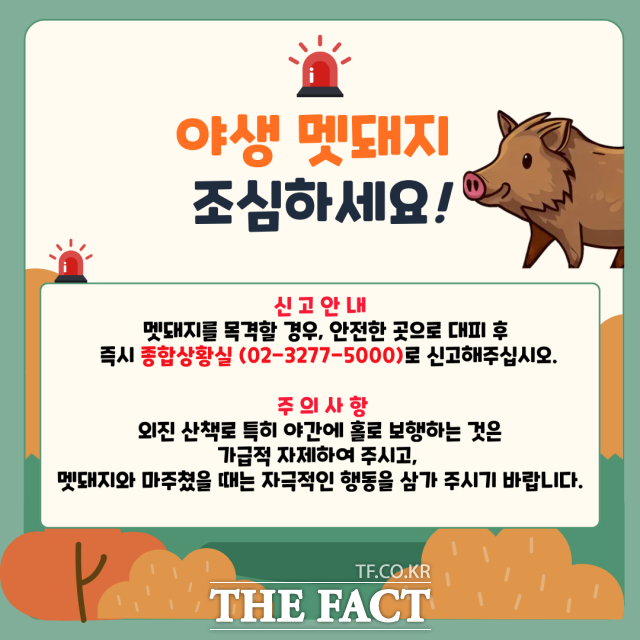 이화여자대학교 캠퍼스에서 멧돼지 출몰 신고가 잇따라 학교 측이 경보를 발령했다. /이화여대