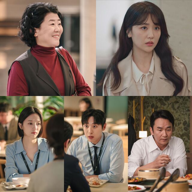 배우 이정은 박하선 김종태 신현수 표예진(위 왼쪽부터 시계방향)이 tvN 새 토일드라마 '은밀한 감사'에 힘을 보탠다. /tvN