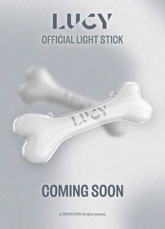 루시 멤버들 또한 응원봉 논란에 