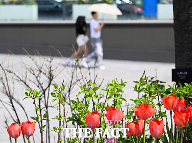 지난 14일 오후 서울 종로구 광화문 광장을 찾은 시민들이 양산을 쓰고 걸음을 옮기고 있다. /박헌우 기자