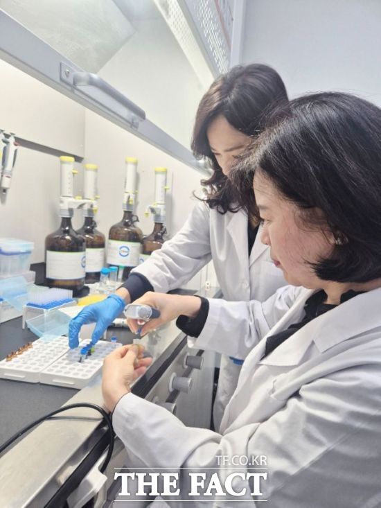 경기 양주시 농산물안전분석실 관계자들이 사과 시료의 11개 농약 성분 분석 작업을 진행하고 있다. /양주시