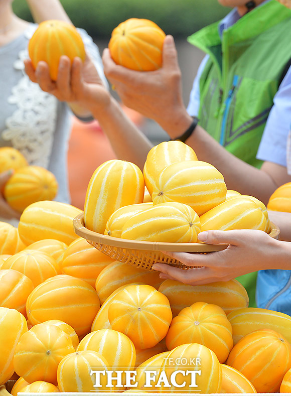 농림축산식품부는 농축산물 할인지원 사업에 추가경정예산 500억원을 확보했다고 23일 밝혔다./더팩트DB