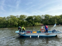  새로운 물고기 나올까…서울시, 한강 어종 조사