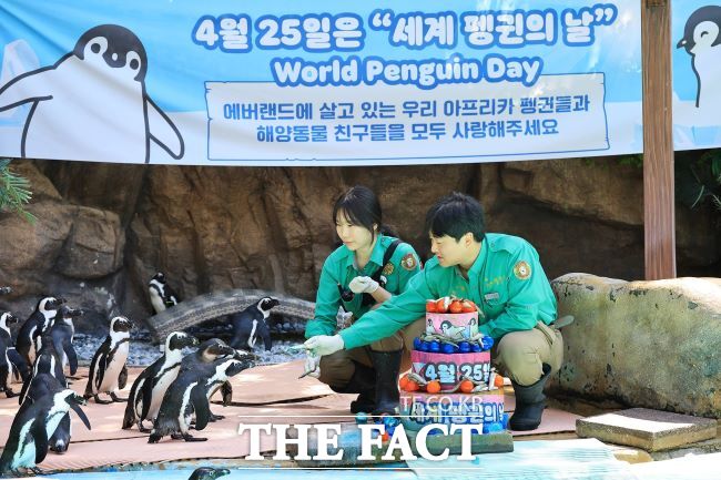 에버랜드 '세계 펭귄의 날' 캠페인. /에버랜드