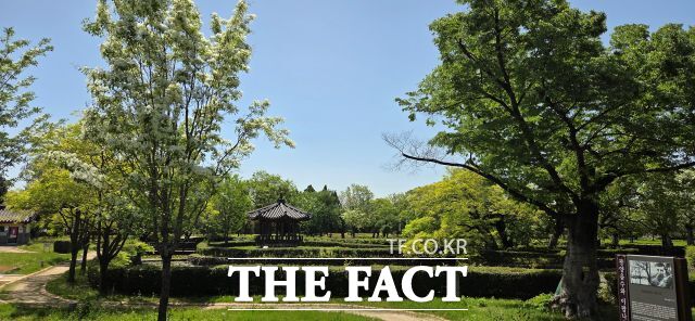 이팝나무가 절정에 이르는 5월이면 공원 전체가 순백의 풍경으로 변해 검이블루 화이불치의 풍경을 자랑한다. /김영신 기자